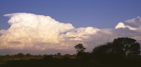 Framed Clouds over a forest, Moremi Game Reserve, Botswana Print