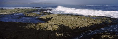 Framed Rock formations at the coast, Fernandina Island, Galapagos Islands, Ecuador Print