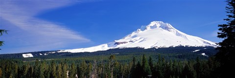 Framed Mount Hood OR USA Print