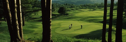 Framed Four people playing golf, Country Club Of Vermont, Waterbury, Washington County, Vermont, USA Print