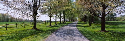 Framed Road passing through a farm, Knox Farm State Park, East Aurora, New York State, USA Print