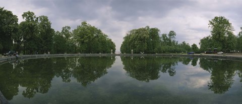 Framed Reflection of trees in a pond, Versailles, Paris, Ile-De-France, France Print