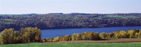Framed Trees at the lakeside, Owasco Lake, Finger Lakes, New York State, USA Print