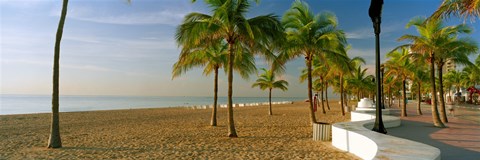 Framed Palm trees on the beach, Las Olas Boulevard, Fort Lauderdale, Florida, USA Print