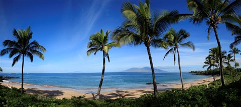 Framed Palm trees on the beach, Maui, Hawaii, USA Print