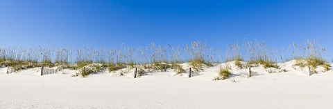 Framed Sand dunes on Gulf Of Mexico, Orange Beach, Baldwin County, Alabama, USA Print