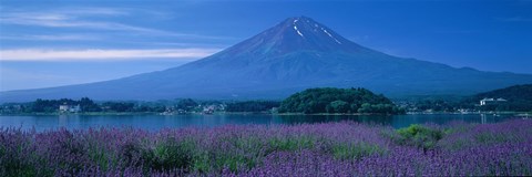Framed Mount Fuji Japan Print