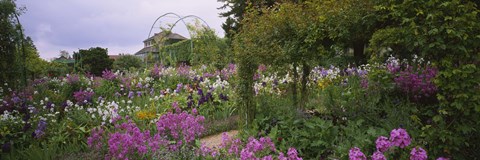 Framed Flowers In A Garden, Foundation Claude Monet, Giverny, France Print