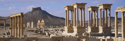 Framed Colonnades on an arid landscape, Palmyra, Syria Print