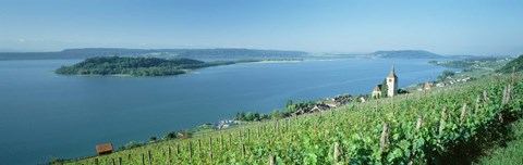 Framed Vineyard near a village, Lake Biel, Ligerz, Canton of Bern, Switzerland Print