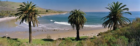 Framed High angle view of palm trees on the beach, Refugio State Beach, Santa Barbara, California, USA Print