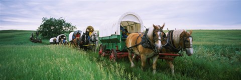 Framed Historical reenactment, Covered wagons in a field, North Dakota, USA Print