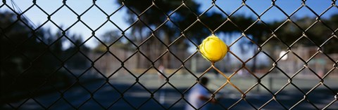 Framed Close-up of a tennis ball stuck in a fence, San Francisco, California, USA Print