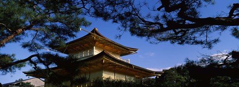 Framed Low angle view of trees in front of a temple, Kinkaku-ji Temple, Kyoto City, Kyoto Prefecture, Kinki Region, Honshu, Japan Print