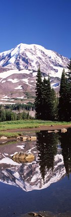 Framed Reflection of a mountain in a lake, Mt Rainier, Pierce County, Washington State, USA Print