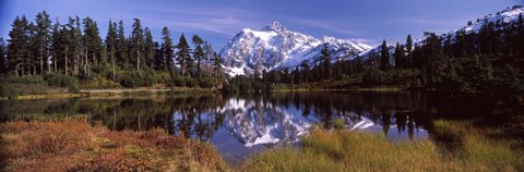 Framed Mt Shuksan, Picture Lake, North Cascades National Park, Washington State, USA Print