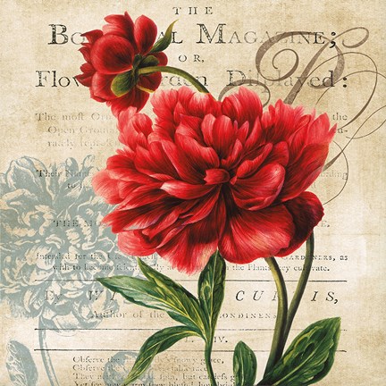 Framed Botanist Magazine Print
