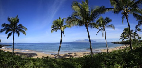 Framed Palm trees on the beach, Maui, Hawaii, USA Print