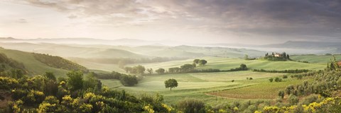 Framed Foggy field, Villa Belvedere, San Quirico d&#39;Orcia, Val d&#39;Orcia, Siena Province, Tuscany, Italy Print