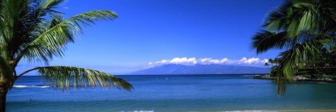 Framed Palm trees on the beach, Kapalua Beach, Molokai, Maui, Hawaii, USA Print