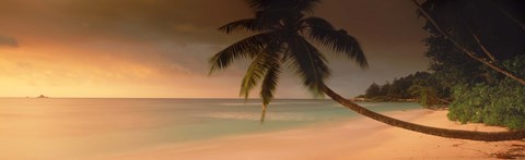 Framed Silhouette of a palm tree on the beach at sunset, Anse Severe, La Digue Island, Seychelles Print