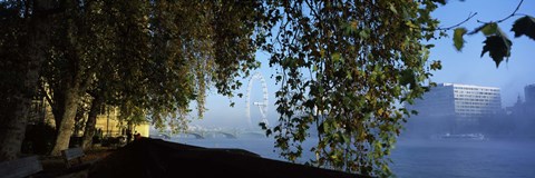 Framed Ferris wheel looking viewed through trees, Millennium Wheel, Thames River, South Bank, London, England Print