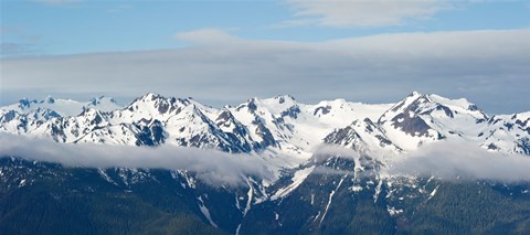 Framed Snow covered mountains, Hurricane Ridge, Olympic National Park, Washington State, USA Print