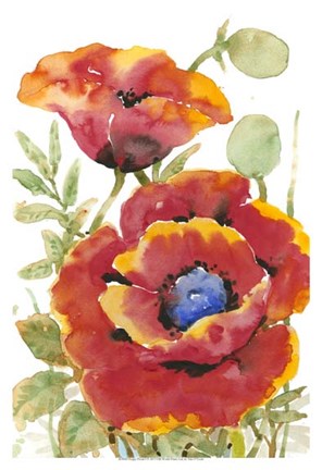 Framed Poppy Floral I Print