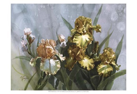Framed Hadfield Irises I Print
