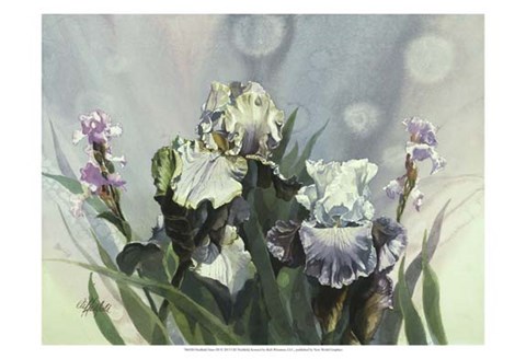 Framed Hadfield Irises III Print