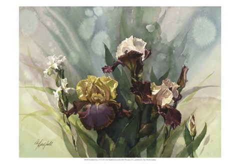 Framed Hadfield Irises VI Print