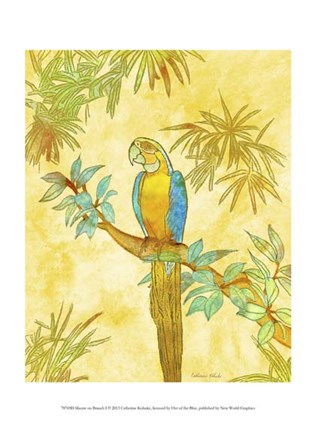 Framed Macaw on Branch I Print