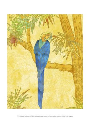 Framed Macaw on Branch II Print