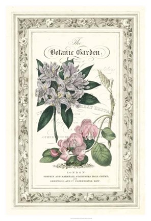 Framed Botanic Garden II Print