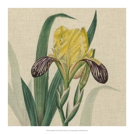 Framed Floral Delight VII Print
