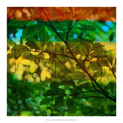 Framed Abstract Leaf Study I Print
