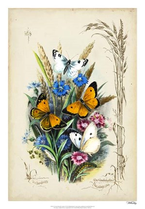 Framed Victorian Butterfly Garden I Print