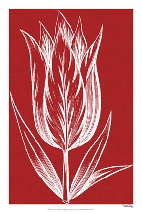 Framed Chromatic Tulips VIII Print