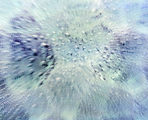 Framed Close up of water droplets on pale blue glass Print