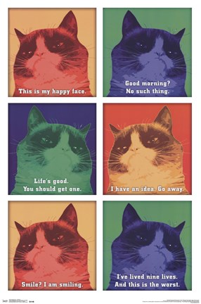 Framed Grumpy Cat - Cattitude Print