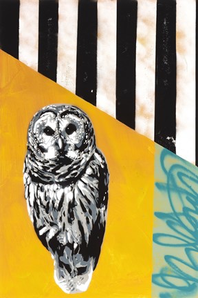 Framed Barred Owl Print