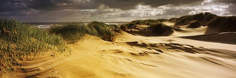 Framed Marram grass on the beach, Sands of Forvie, Newburgh, Aberdeenshire, Scotland Print
