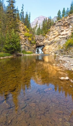 Framed Flowing stream in a forest, Banff National Park, Alberta, Canada Print