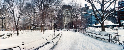 Framed Snow covered park, Union Square, Manhattan, New York City, New York State, USA Print