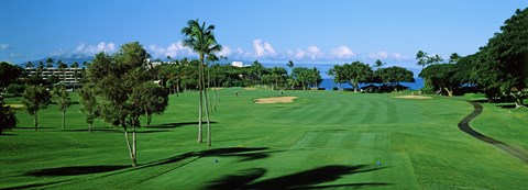 Framed Trees , Kaanapali Golf Course, Maui, Hawaii, USA Print