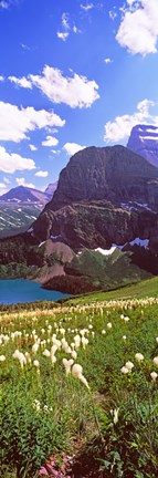 Framed Beargrass with Grinnell Lake in the background, US Glacier National Park, Montana Print