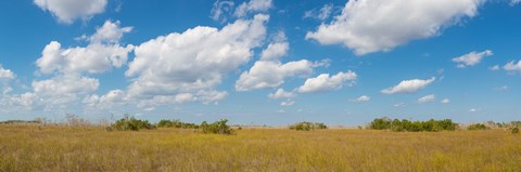Framed Clouds over Everglades National Park, Florida, USA Print