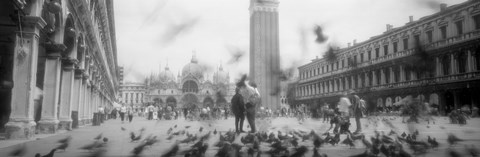 Framed Flock of pigeons flying, St. Mark&#39;s Square, Venice, Italy (black and white) Print