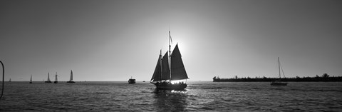 Framed Sailboat, Key West, Florida, USA Print