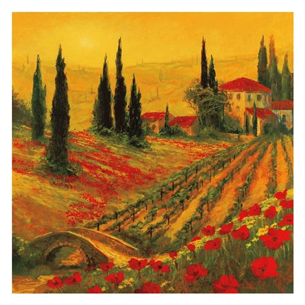 Framed Poppies of Toscano I Print